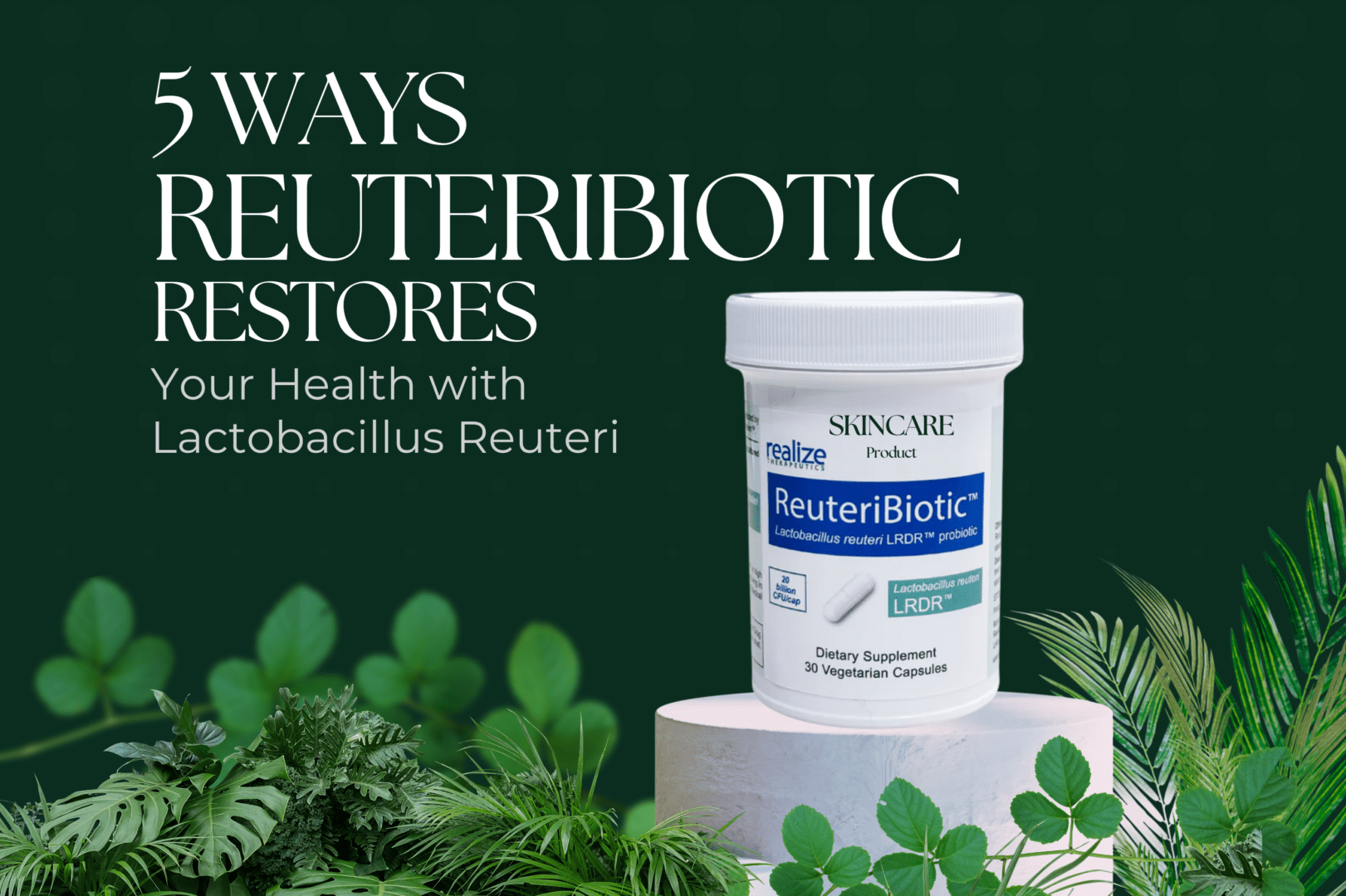 Lactobacillus Reuteri