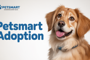 petsmart adoption
